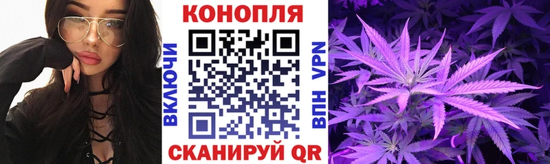 где найти   Нахабино  omg зеркало  Канабис индика 